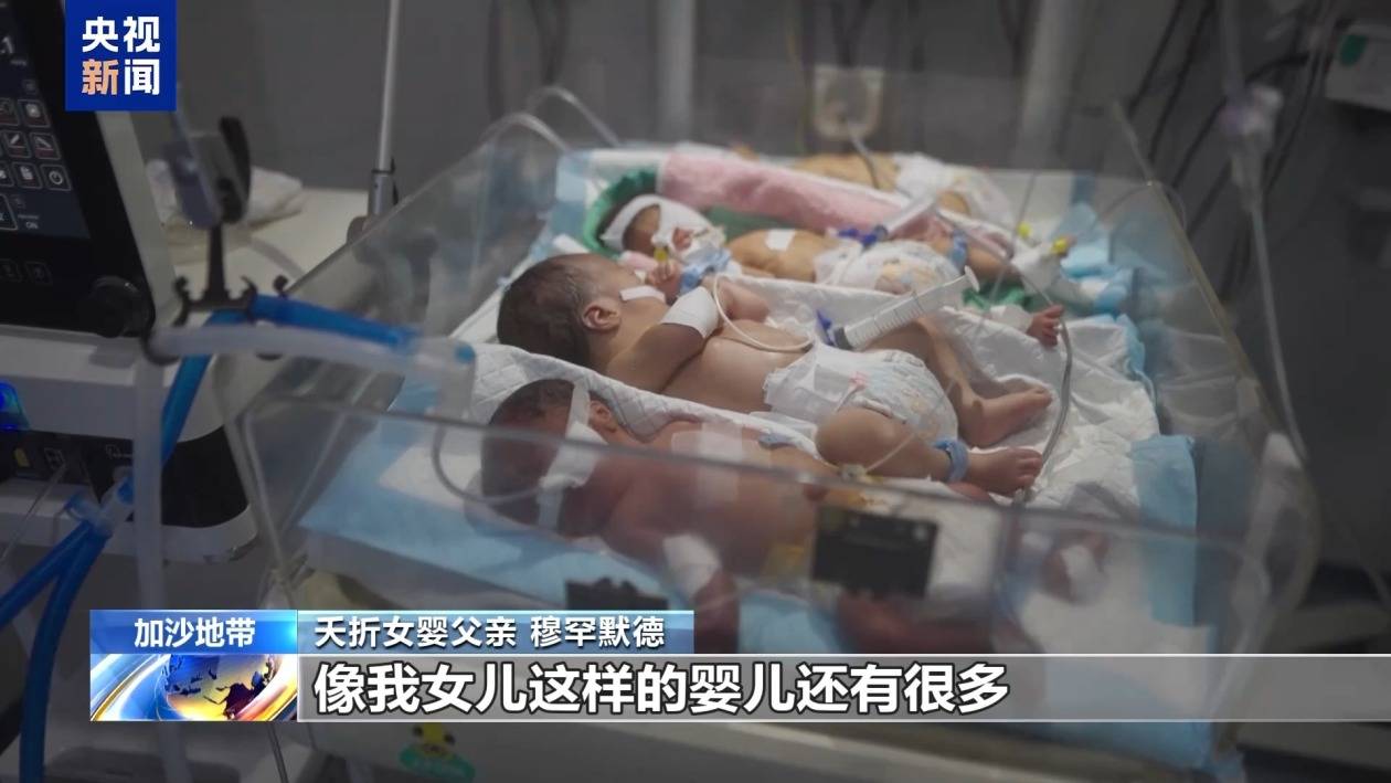 加沙醫(yī)院淪為無聲墓地 夭折女嬰父親：孩子做錯了什么<strong></p>
<p>墓地</strong>？:墓地
