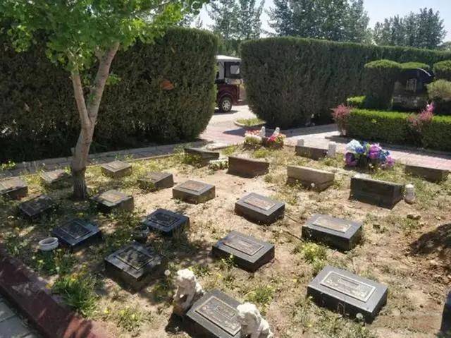 “死不起”成為現(xiàn)實(shí)！高價(jià)墓地市場(chǎng)冷清<strong></p>
<p>墓地</strong>，逝者也被“消費(fèi)降級(jí)”？:墓地